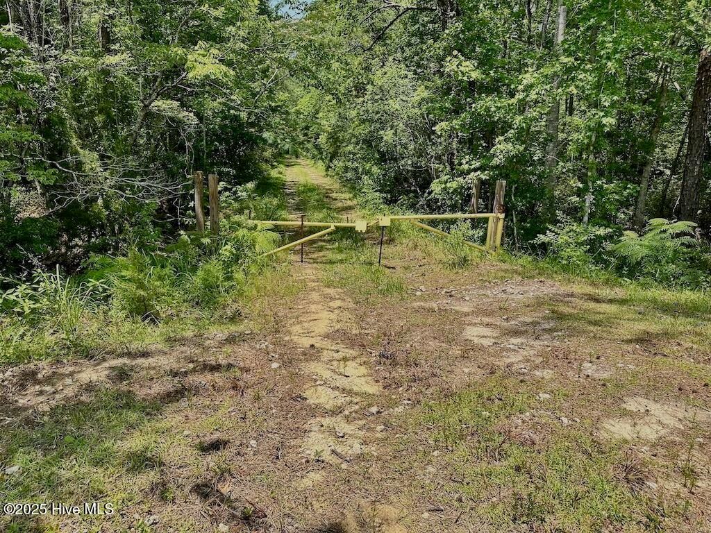 Image 16 of property listing at 00 Nc-306, Grantsboro, NC 28529