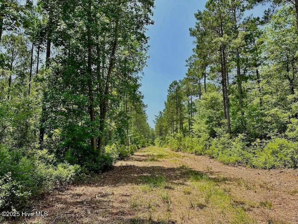 Image 18 of property listing at 00 Nc-306, Grantsboro, NC 28529