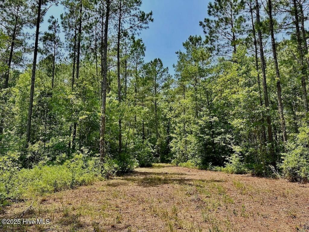 Image 19 of property listing at 00 Nc-306, Grantsboro, NC 28529