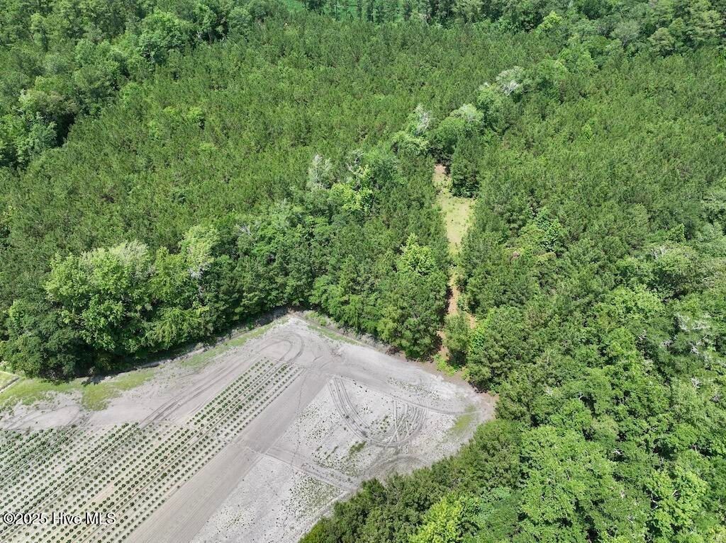 Image 23 of property listing at 00 Nc-306, Grantsboro, NC 28529