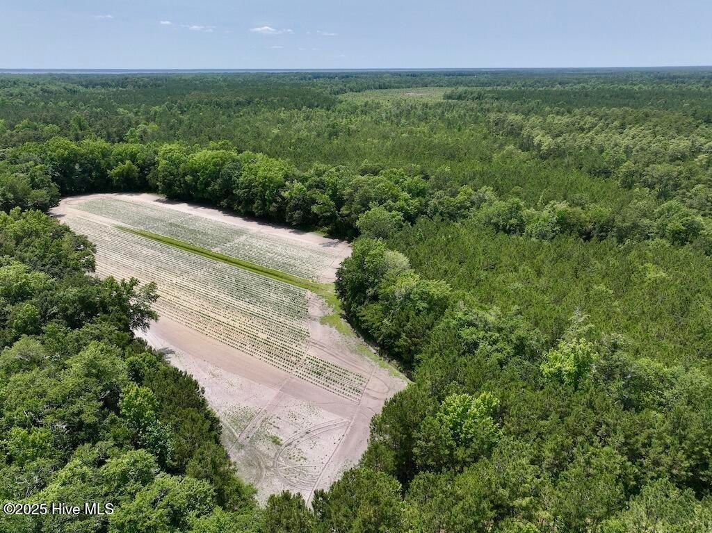 Image 24 of property listing at 00 Nc-306, Grantsboro, NC 28529