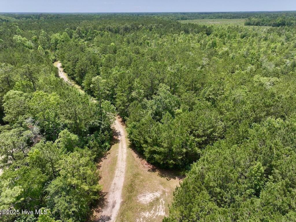 Image 27 of property listing at 00 Nc-306, Grantsboro, NC 28529