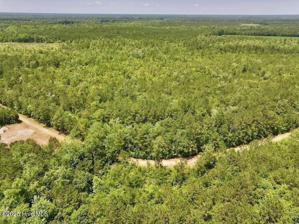 Image 29 of property listing at 00 Nc-306, Grantsboro, NC 28529