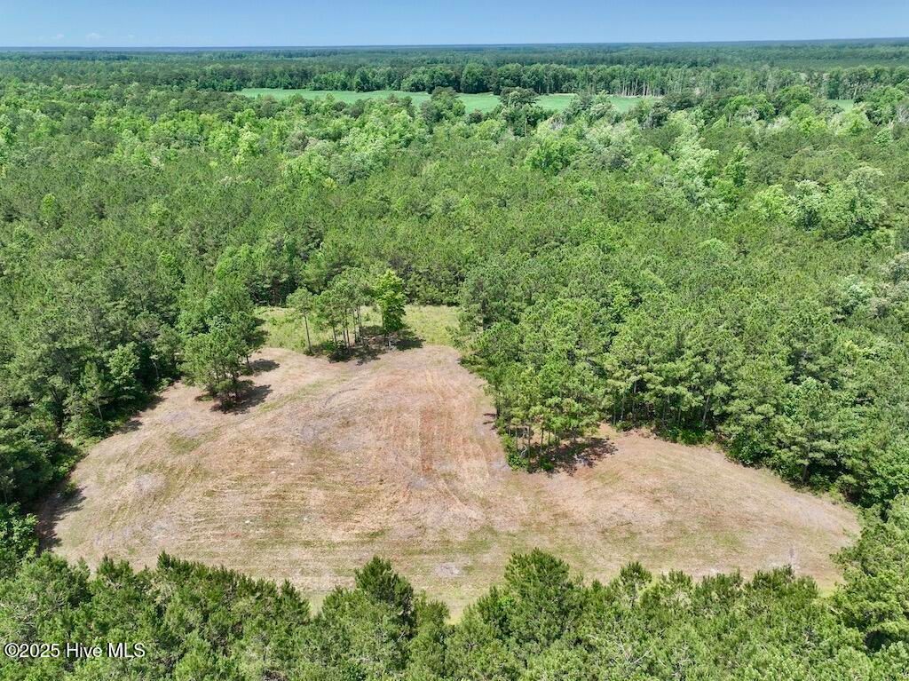 Image 3 of property listing at 00 Nc-306, Grantsboro, NC 28529