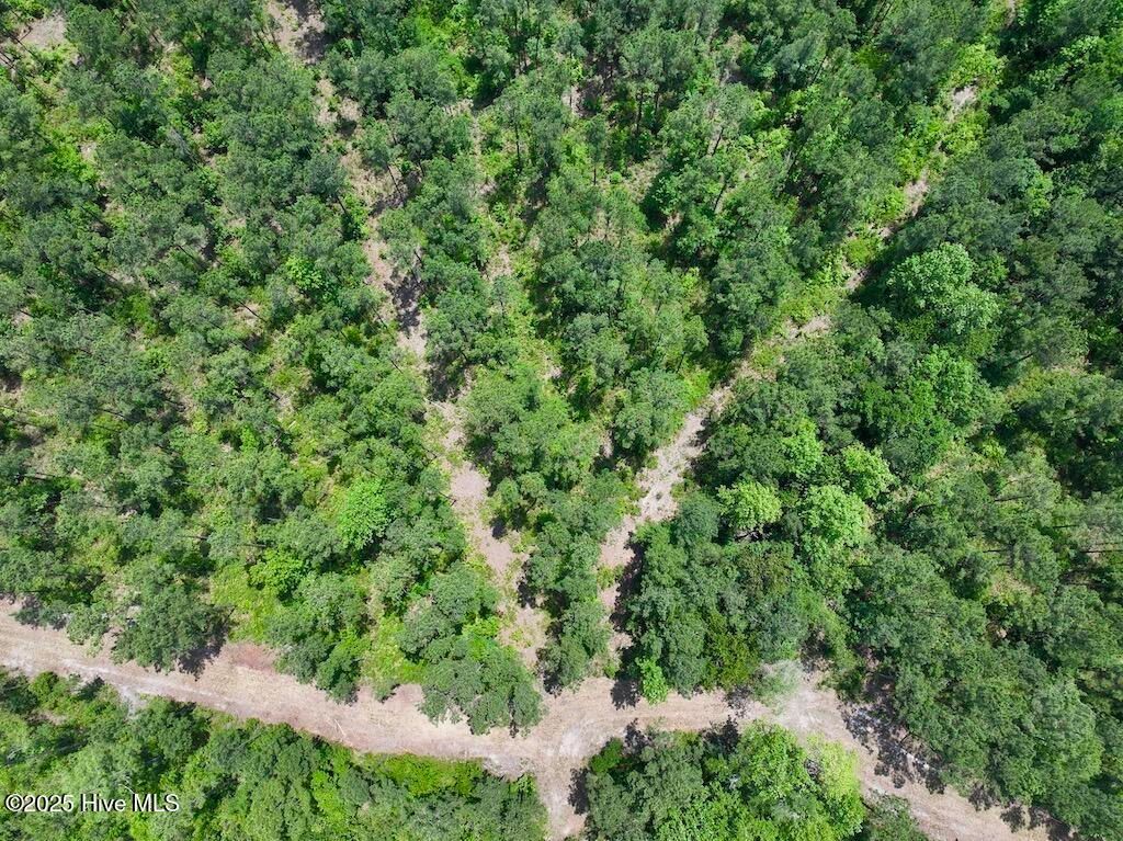 Image 31 of property listing at 00 Nc-306, Grantsboro, NC 28529