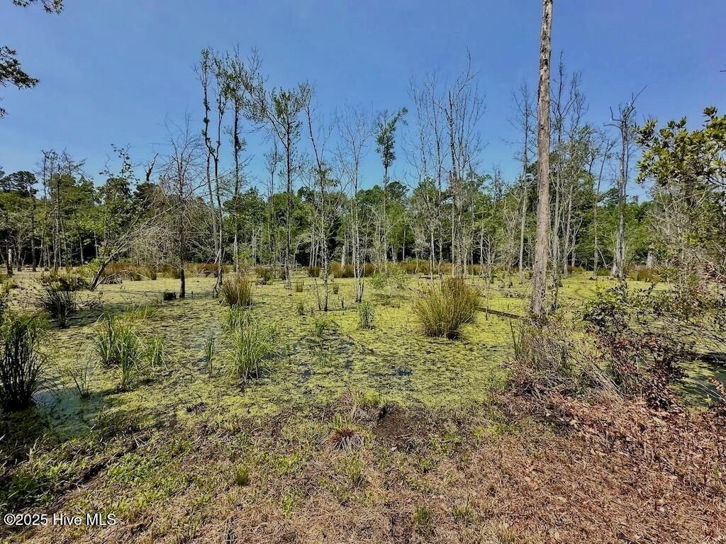 Image 32 of property listing at 00 Nc-306, Grantsboro, NC 28529