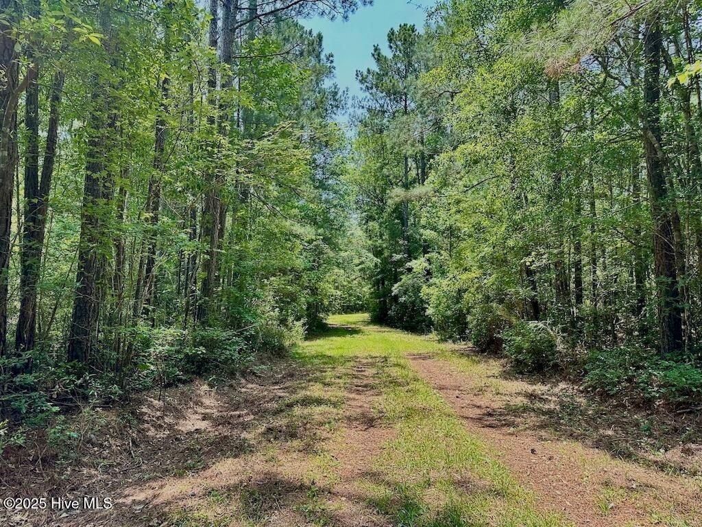 Image 34 of property listing at 00 Nc-306, Grantsboro, NC 28529