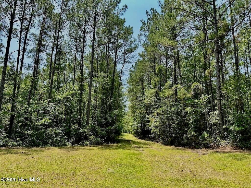 Image 35 of property listing at 00 Nc-306, Grantsboro, NC 28529