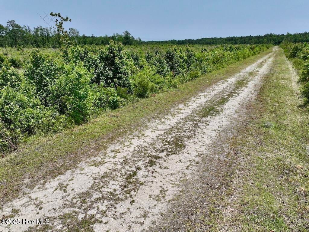 Image 38 of property listing at 00 Nc-306, Grantsboro, NC 28529