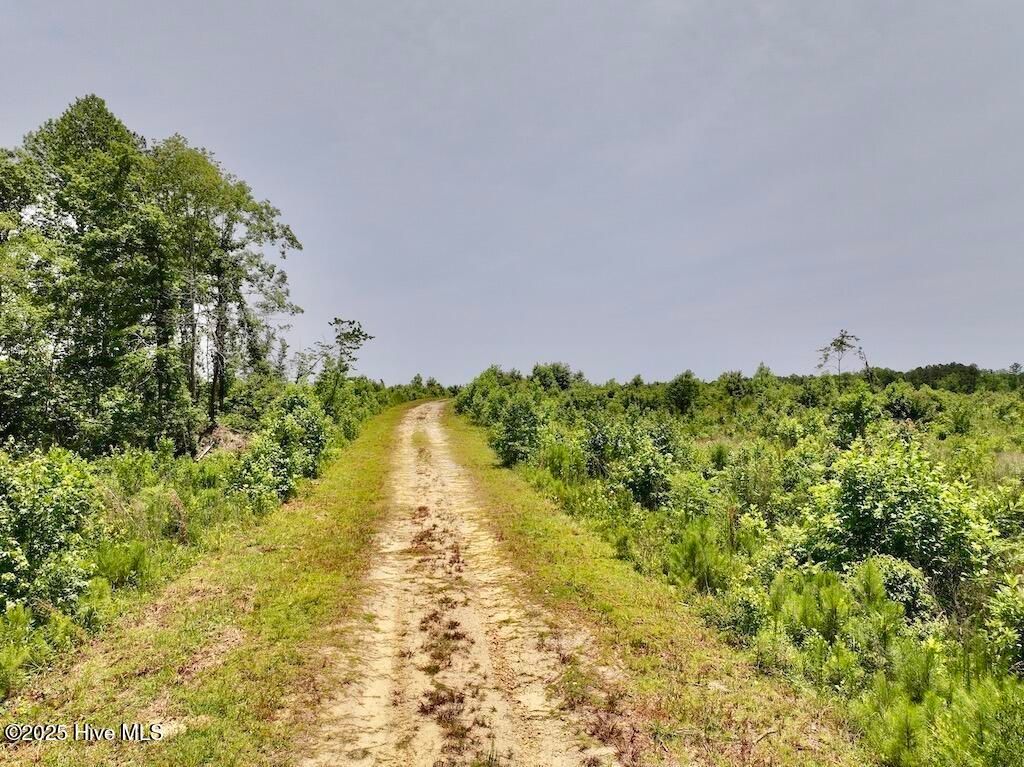 Image 39 of property listing at 00 Nc-306, Grantsboro, NC 28529