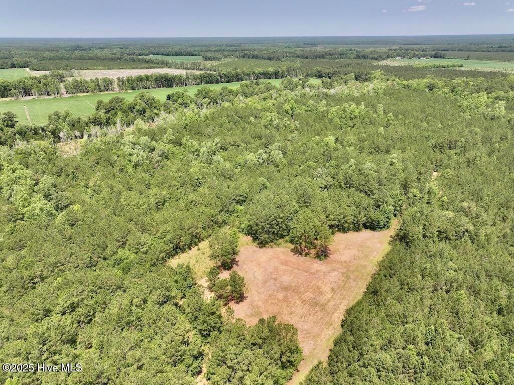 Image 4 of property listing at 00 Nc-306, Grantsboro, NC 28529