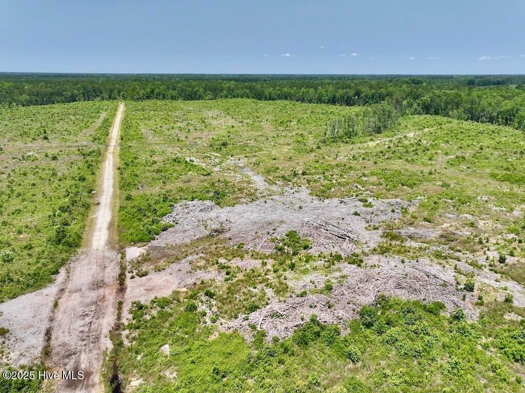 Image 41 of property listing at 00 Nc-306, Grantsboro, NC 28529