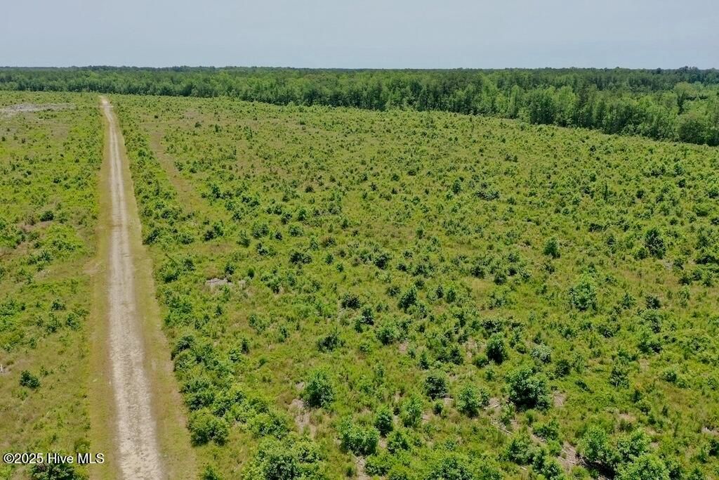 Image 42 of property listing at 00 Nc-306, Grantsboro, NC 28529