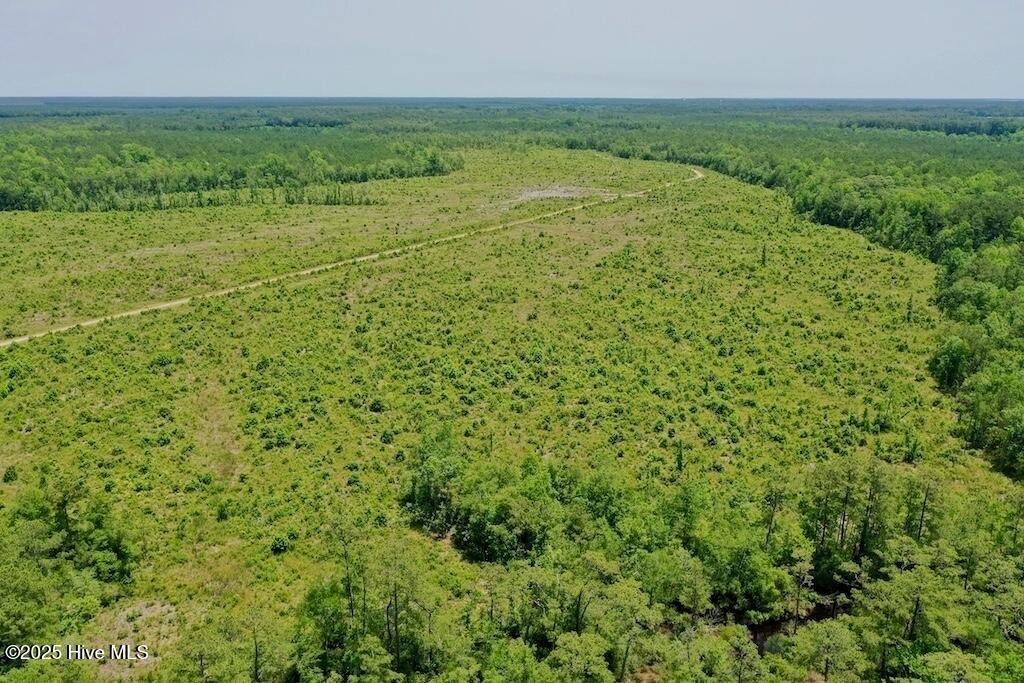 Image 43 of property listing at 00 Nc-306, Grantsboro, NC 28529