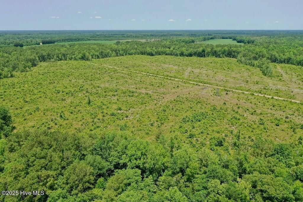 Image 44 of property listing at 00 Nc-306, Grantsboro, NC 28529