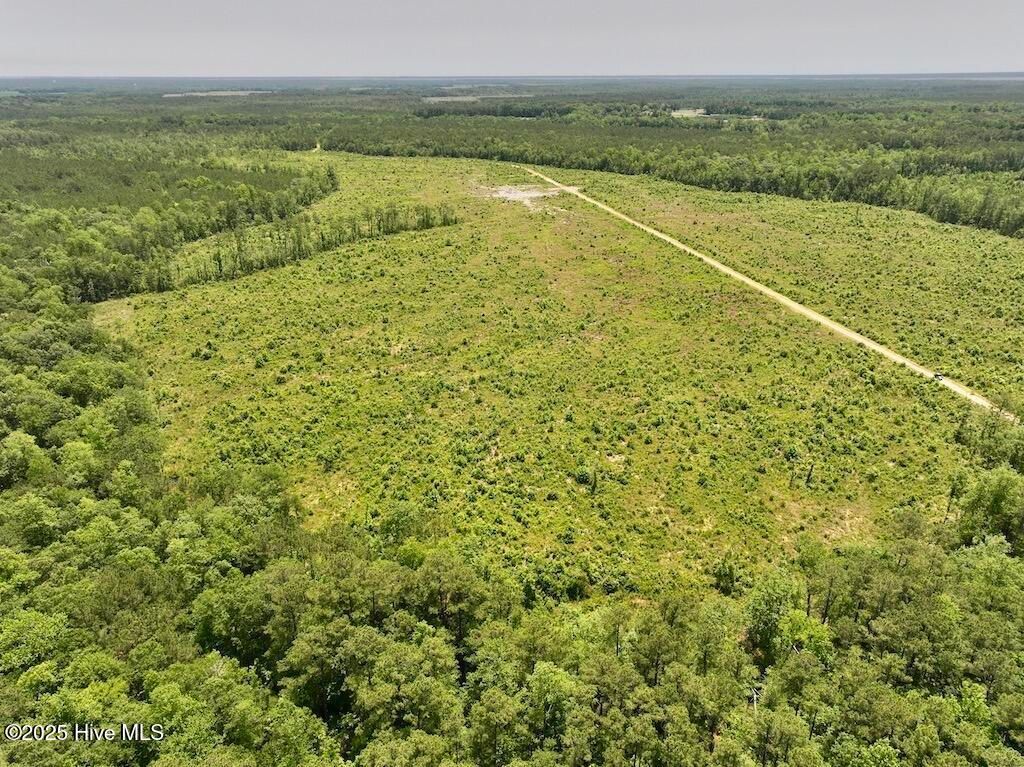 Image 47 of property listing at 00 Nc-306, Grantsboro, NC 28529