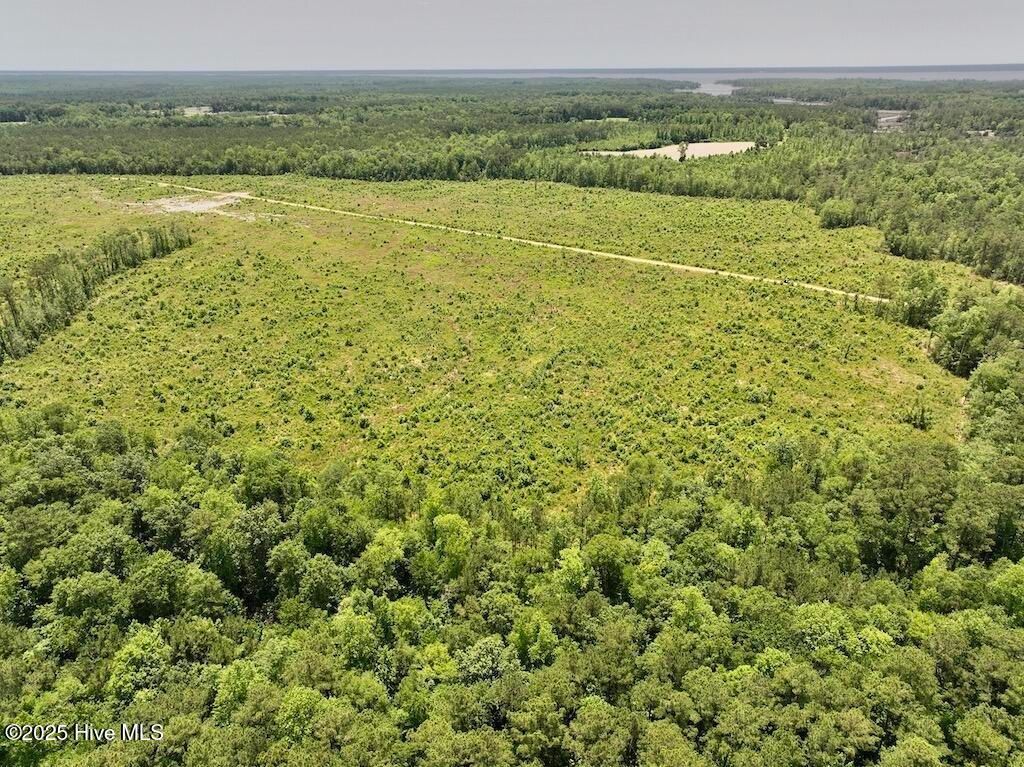 Image 48 of property listing at 00 Nc-306, Grantsboro, NC 28529