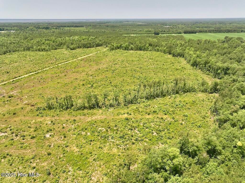 Image 49 of property listing at 00 Nc-306, Grantsboro, NC 28529