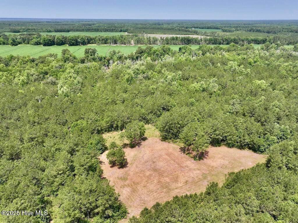 Image 5 of property listing at 00 Nc-306, Grantsboro, NC 28529