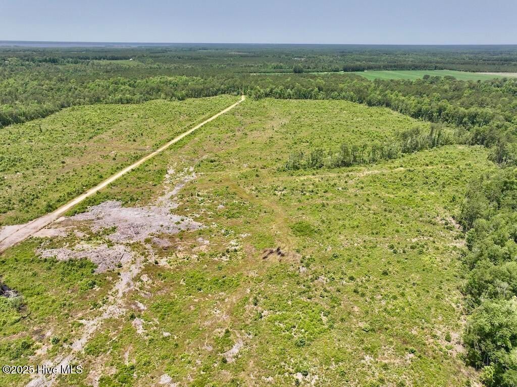 Image 50 of property listing at 00 Nc-306, Grantsboro, NC 28529