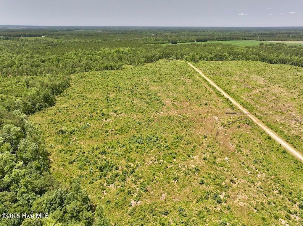 Image 51 of property listing at 00 Nc-306, Grantsboro, NC 28529