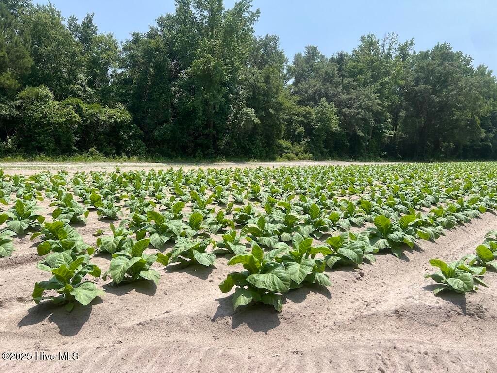 Image 54 of property listing at 00 Nc-306, Grantsboro, NC 28529