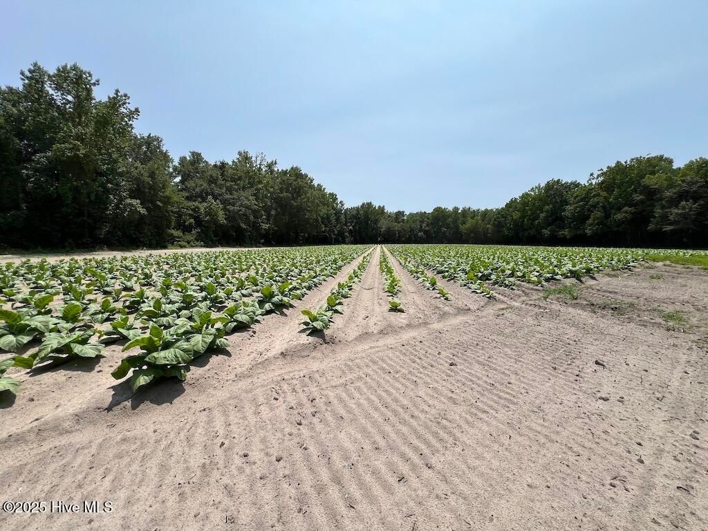 Image 55 of property listing at 00 Nc-306, Grantsboro, NC 28529