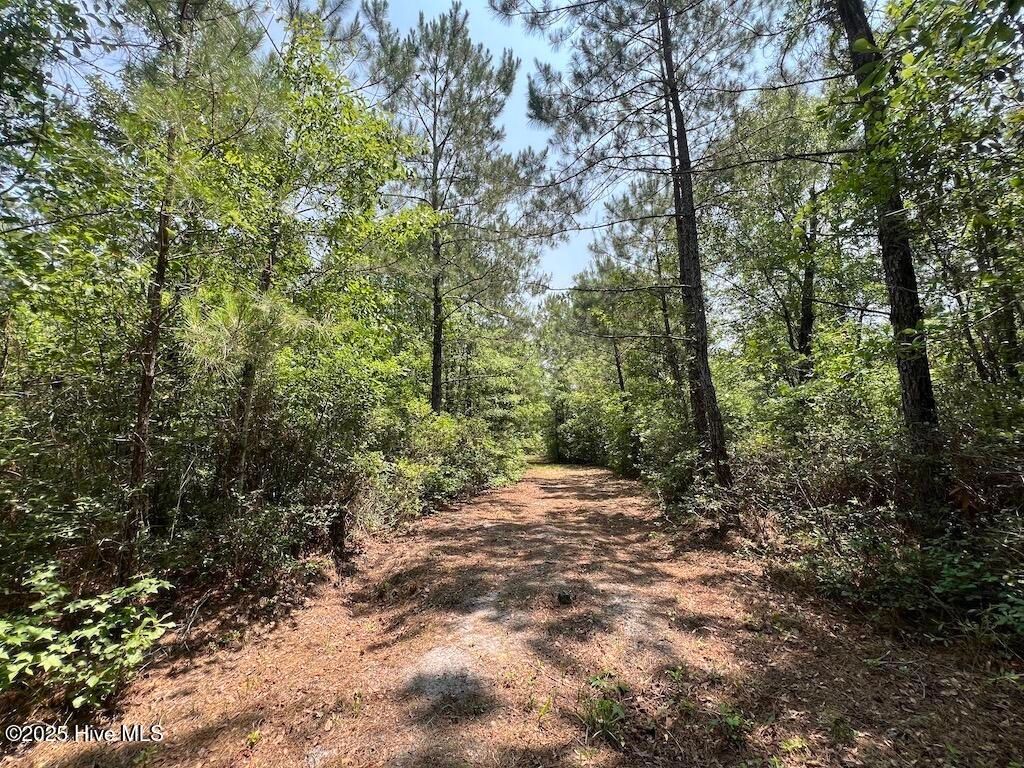 Image 57 of property listing at 00 Nc-306, Grantsboro, NC 28529