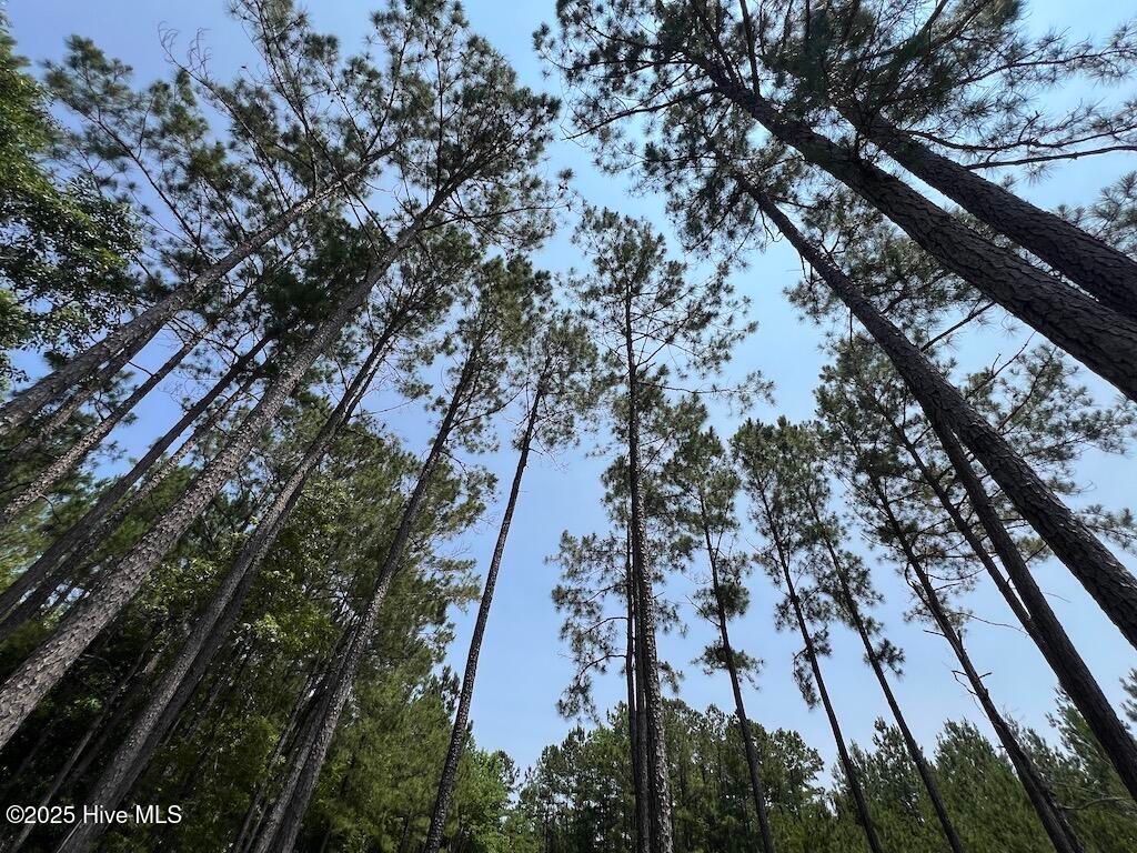 Image 58 of property listing at 00 Nc-306, Grantsboro, NC 28529