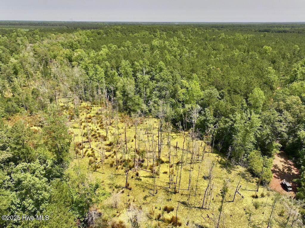 Image 59 of property listing at 00 Nc-306, Grantsboro, NC 28529