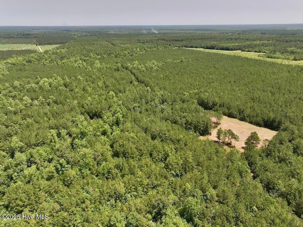 Image 6 of property listing at 00 Nc-306, Grantsboro, NC 28529