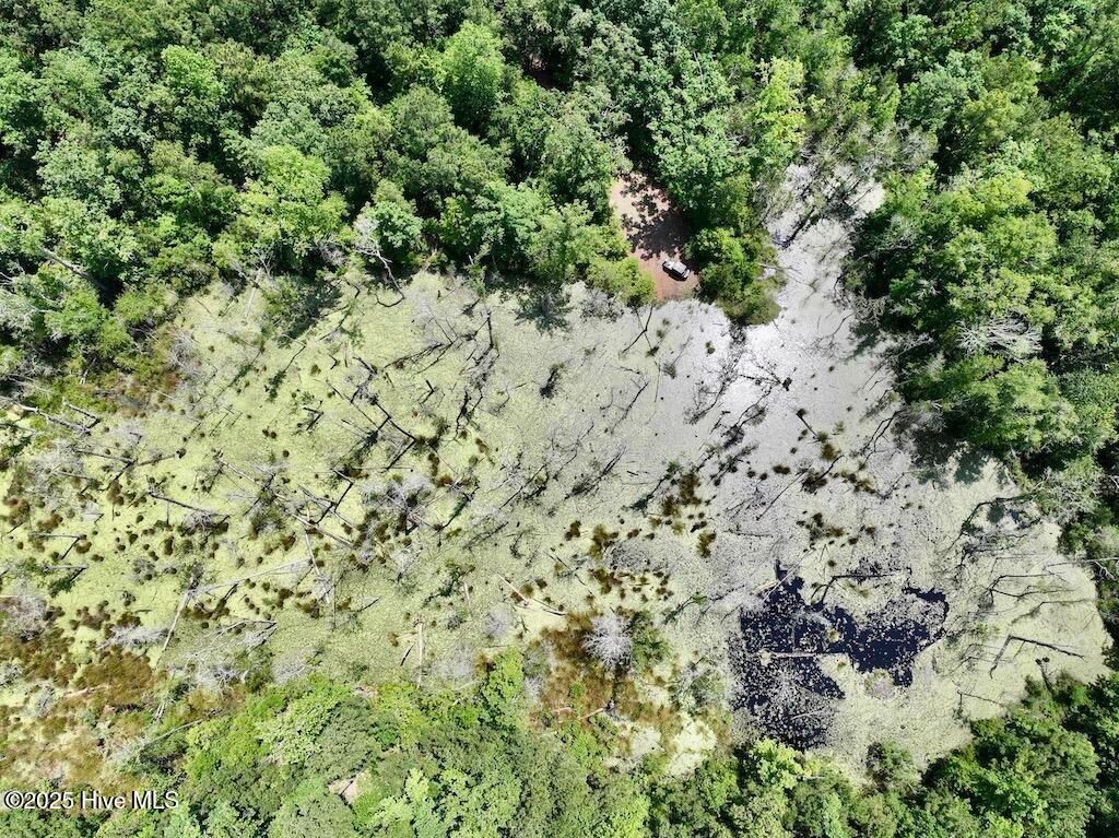 Image 60 of property listing at 00 Nc-306, Grantsboro, NC 28529