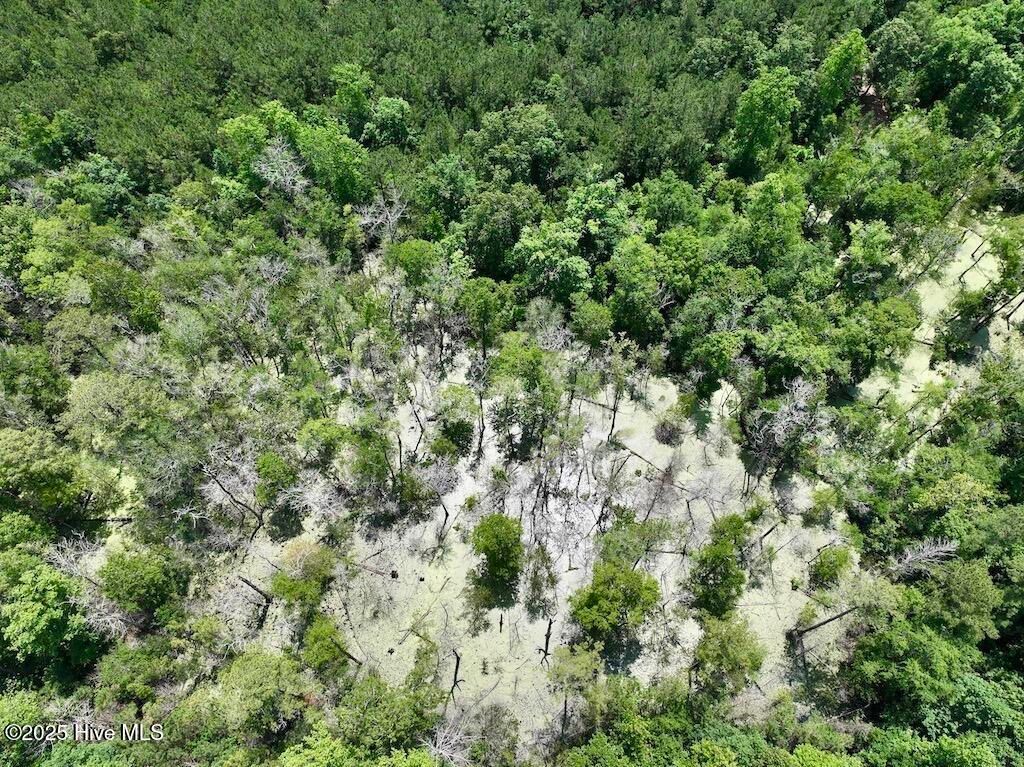 Image 61 of property listing at 00 Nc-306, Grantsboro, NC 28529