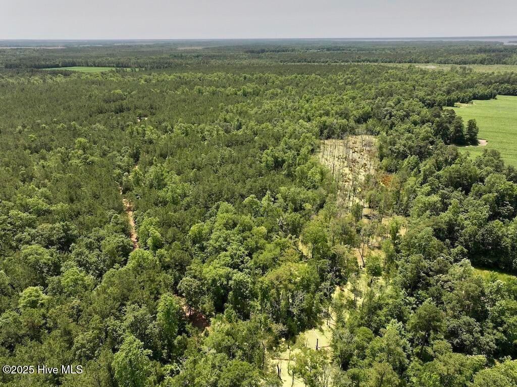 Image 62 of property listing at 00 Nc-306, Grantsboro, NC 28529