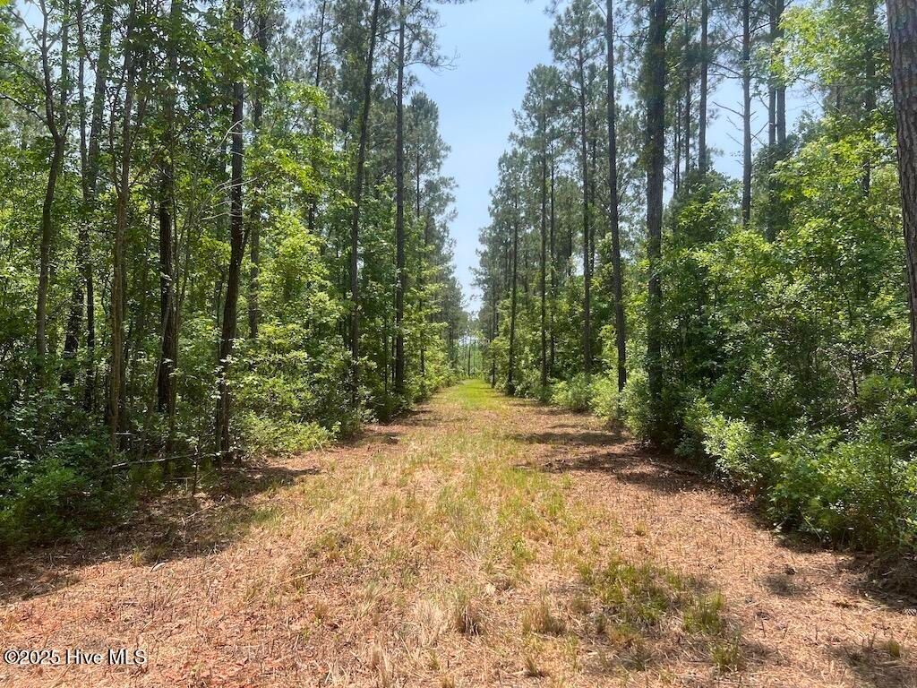 Image 64 of property listing at 00 Nc-306, Grantsboro, NC 28529