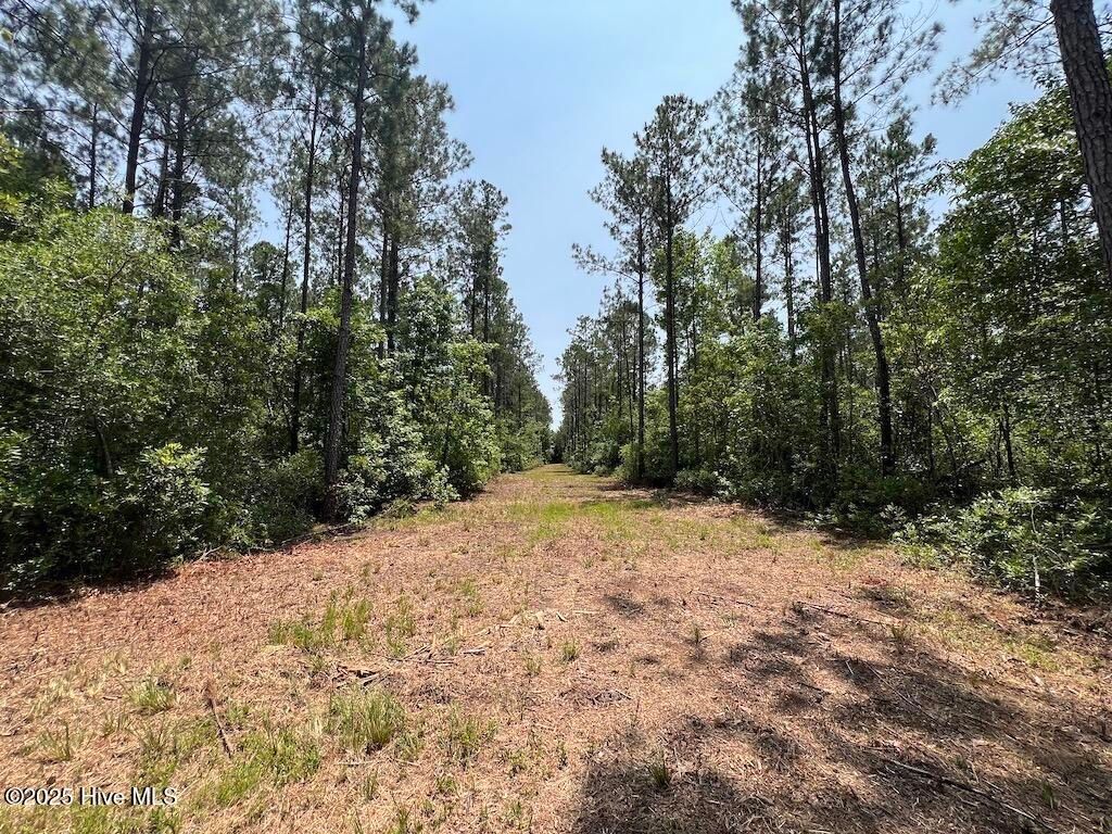 Image 65 of property listing at 00 Nc-306, Grantsboro, NC 28529