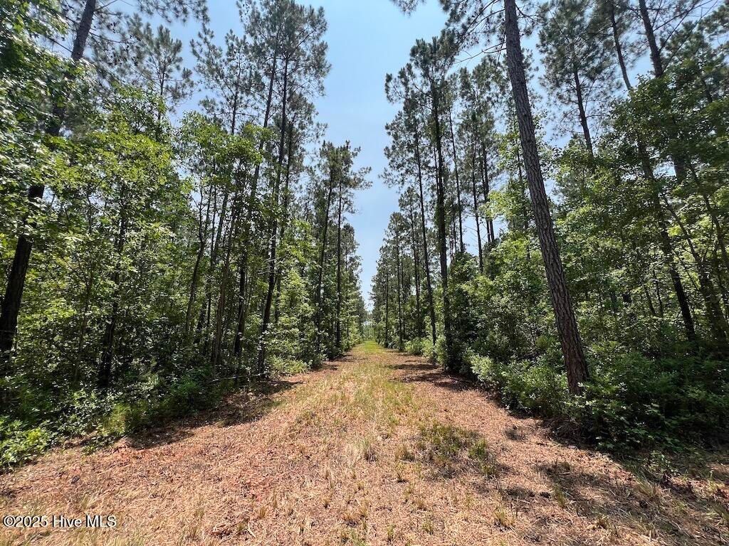 Image 66 of property listing at 00 Nc-306, Grantsboro, NC 28529