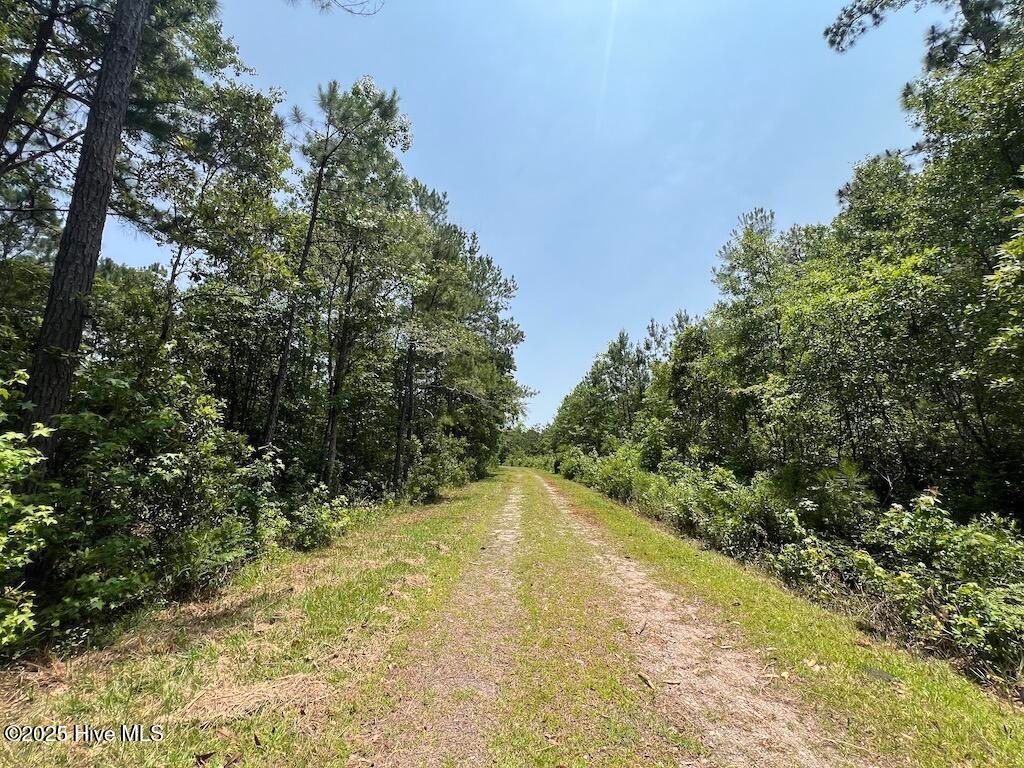 Image 67 of property listing at 00 Nc-306, Grantsboro, NC 28529