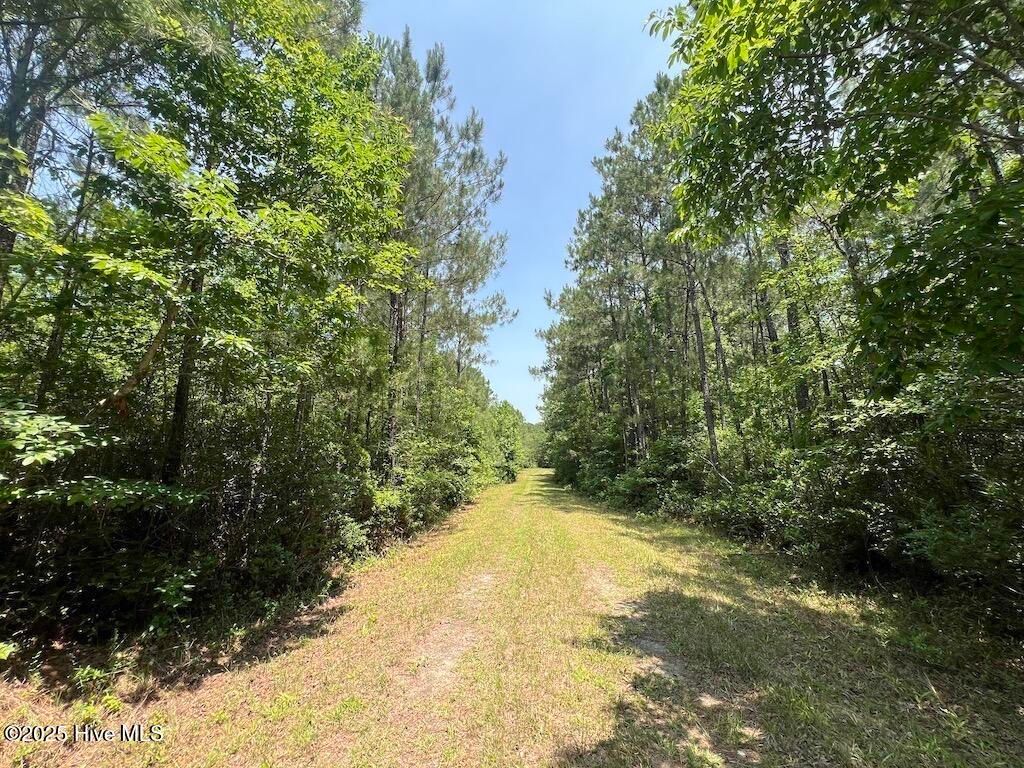 Image 68 of property listing at 00 Nc-306, Grantsboro, NC 28529