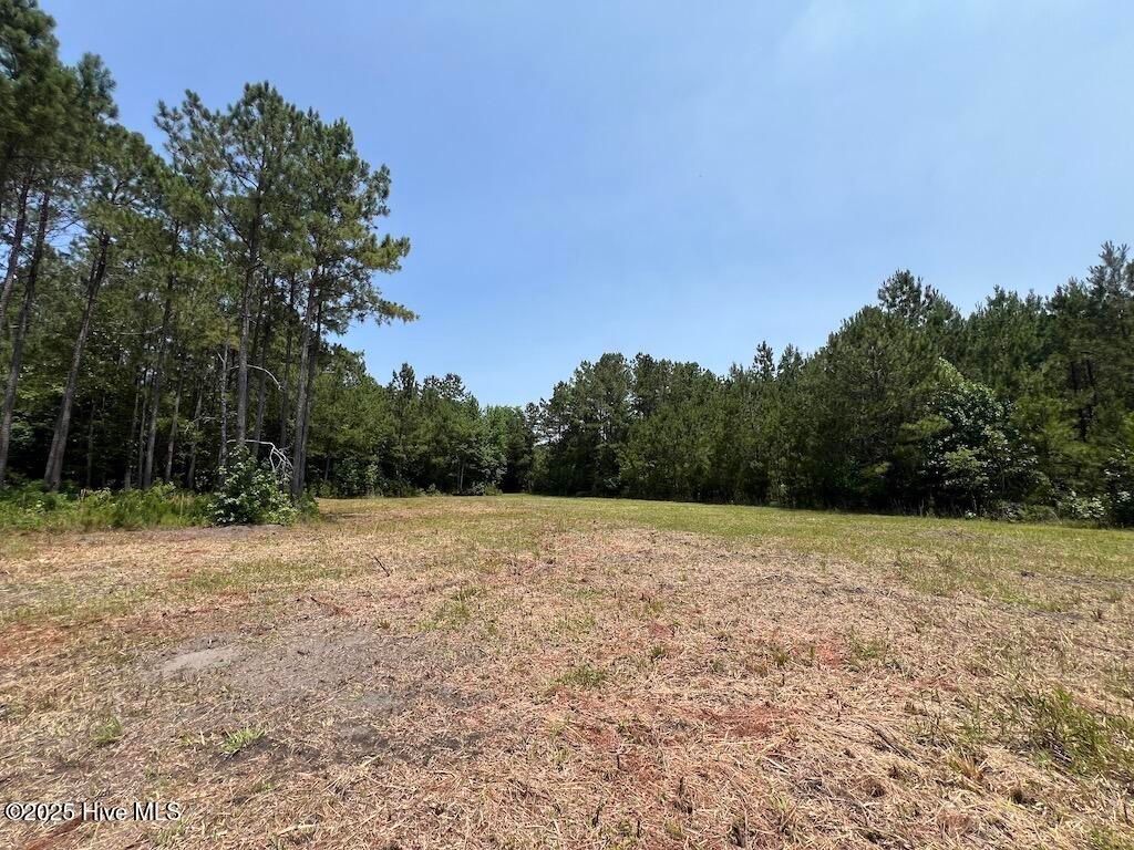 Image 69 of property listing at 00 Nc-306, Grantsboro, NC 28529