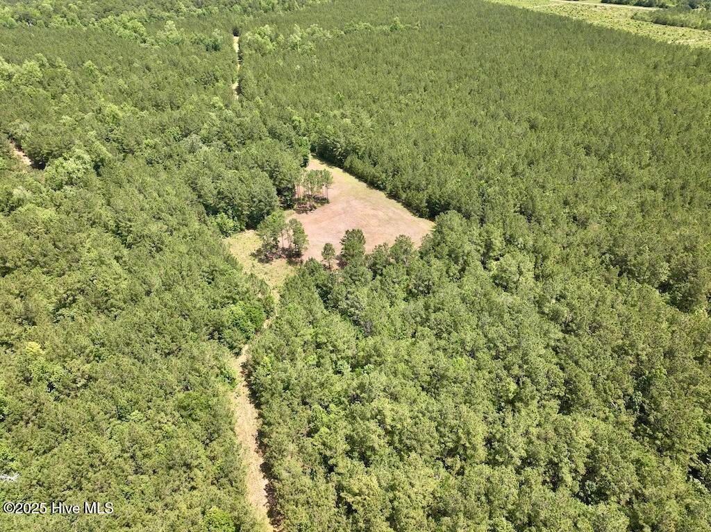 Image 7 of property listing at 00 Nc-306, Grantsboro, NC 28529