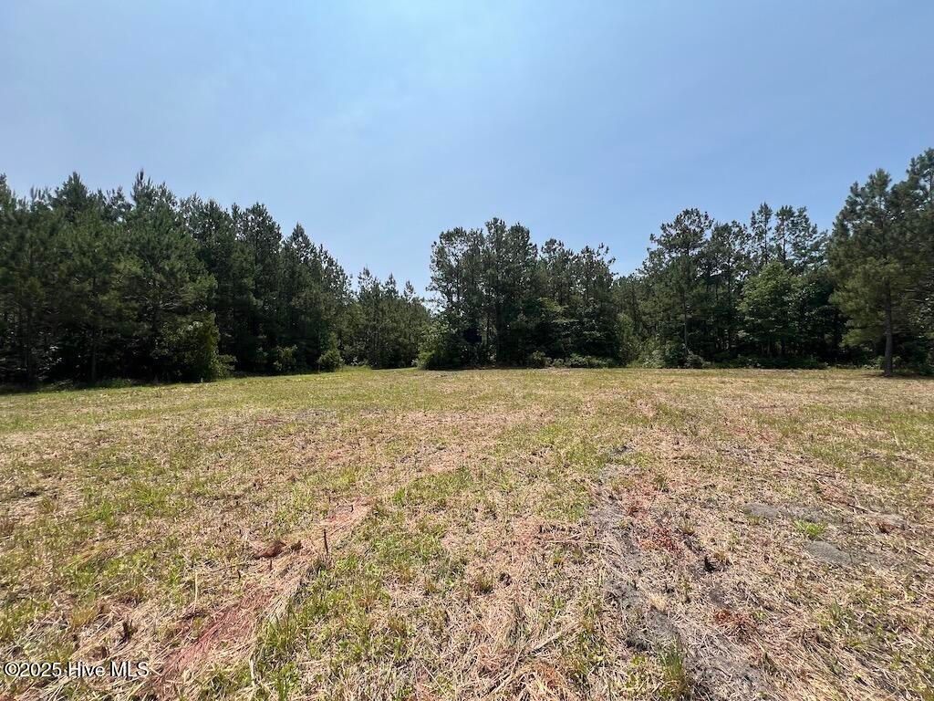 Image 70 of property listing at 00 Nc-306, Grantsboro, NC 28529