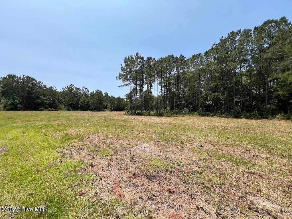 Image 72 of property listing at 00 Nc-306, Grantsboro, NC 28529