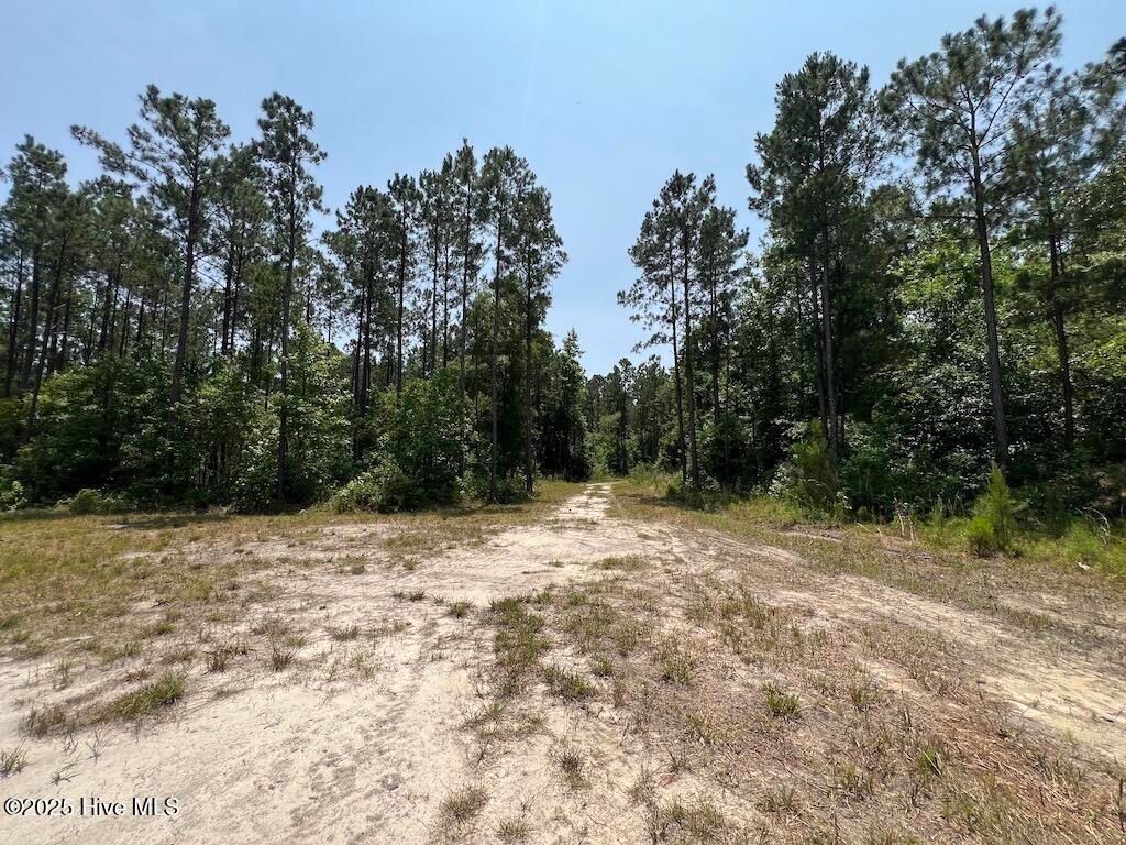 Image 73 of property listing at 00 Nc-306, Grantsboro, NC 28529