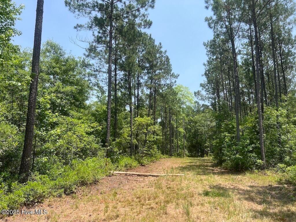 Image 74 of property listing at 00 Nc-306, Grantsboro, NC 28529