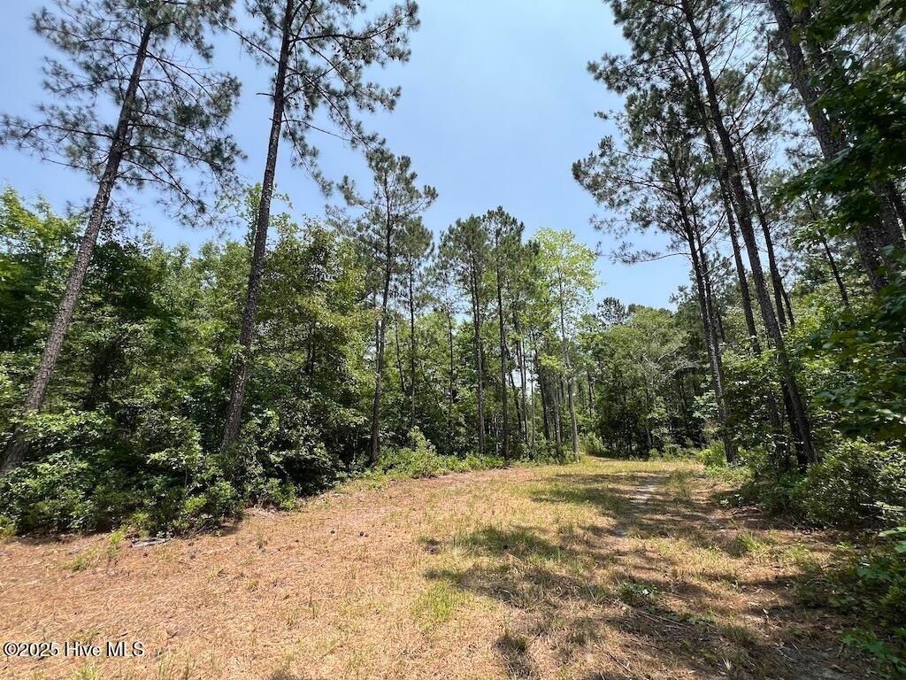 Image 75 of property listing at 00 Nc-306, Grantsboro, NC 28529