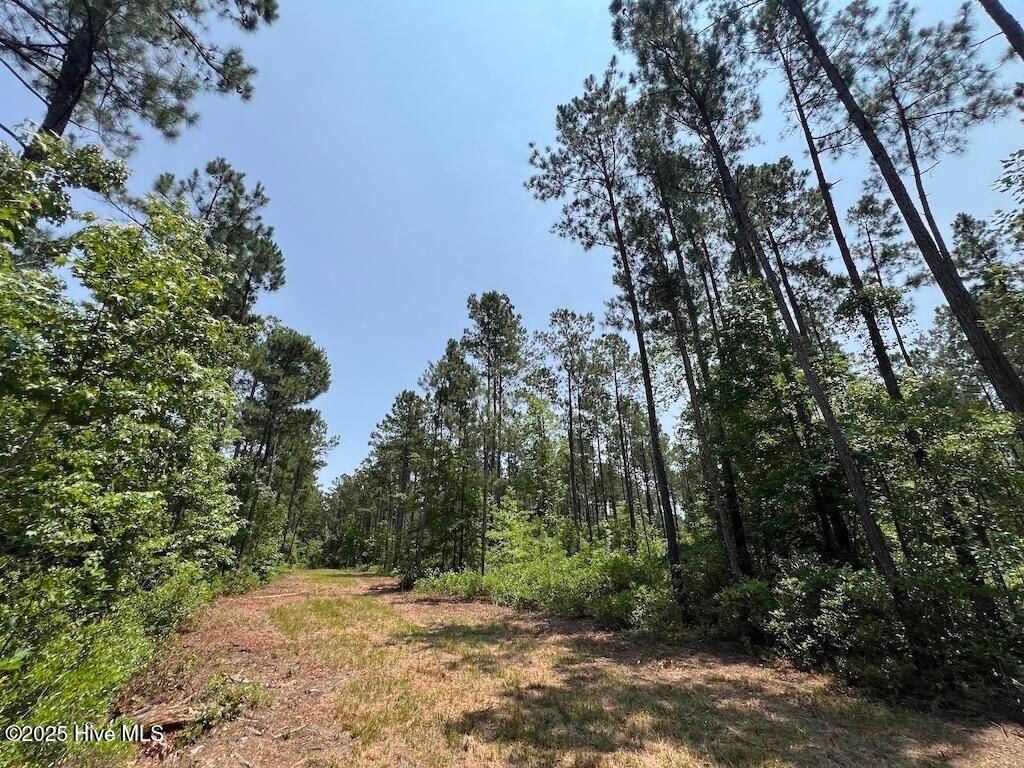 Image 76 of property listing at 00 Nc-306, Grantsboro, NC 28529