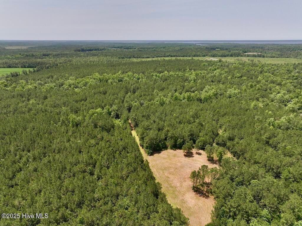 Image 8 of property listing at 00 Nc-306, Grantsboro, NC 28529