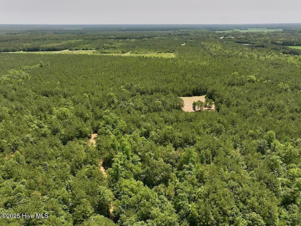 Image 9 of property listing at 00 Nc-306, Grantsboro, NC 28529