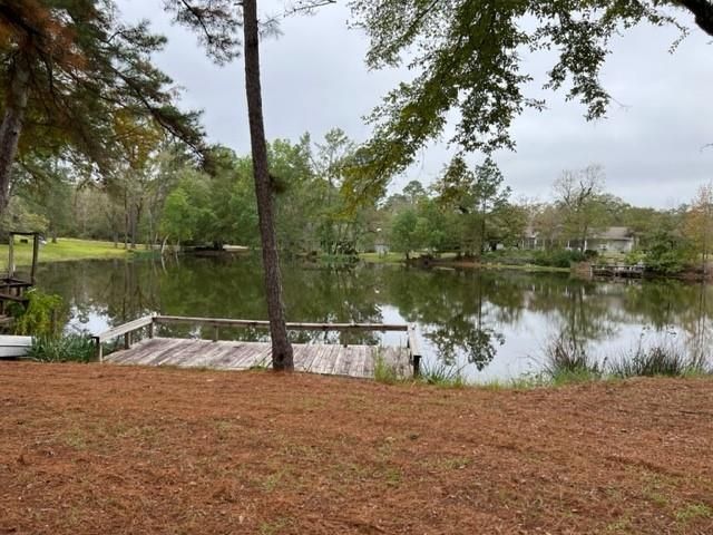 29 Thomas Lake Road, Riverside, TX 77367